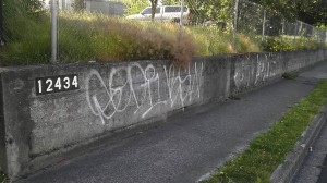 Graffiti - Before     