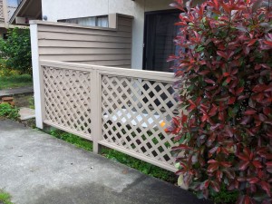 Trellis Repair - After          